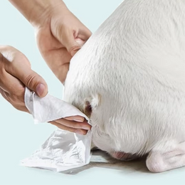 Toallitas húmedas para limpieza de glándulas anales de perros y gatos
