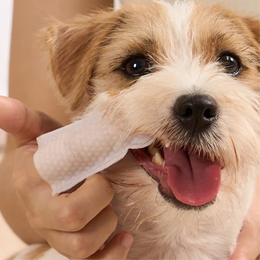 Toallitas húmedas dactilares para limpieza de dientes de perros y gatos