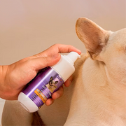 Hidrogel antimicrobiano para heridas de perros y gatos