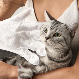Toallitas húmedas limpiadoras y desodorizantes para perro y gato